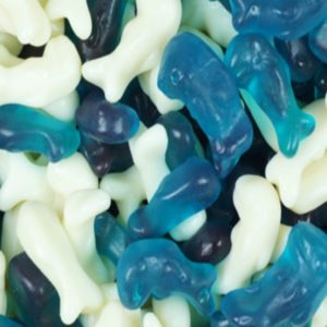 Jelly Dolphins Retro Sweets