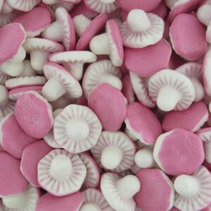 Swizzels Fun Gums Giant Mushrooms Retro Sweets